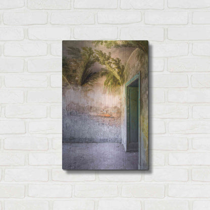 Luxe Metal Art 'Tropical Room' by Roman Robroek Metal Wall Art,16x24