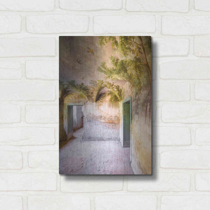 Luxe Metal Art 'Palm Room' by Roman Robroek Metal Wall Art,12x16