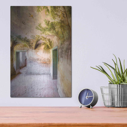 Luxe Metal Art 'Palm Room' by Roman Robroek Metal Wall Art,12x16