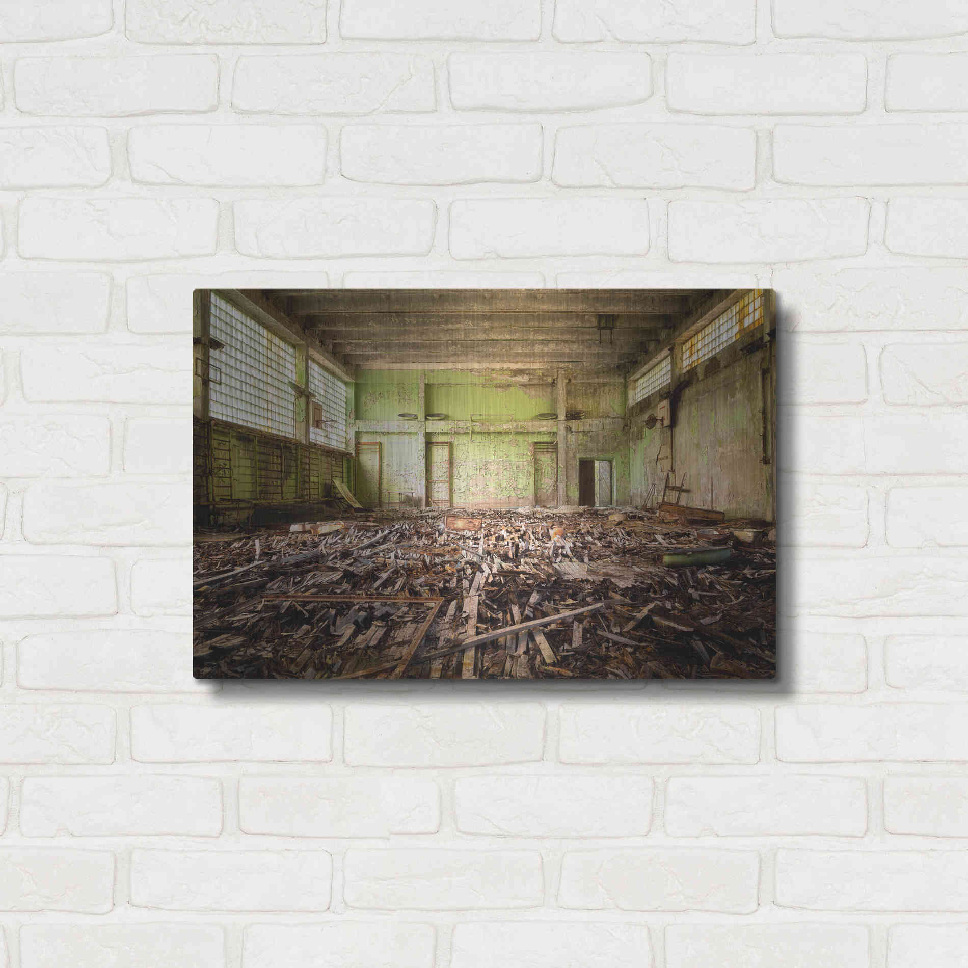 Luxe Metal Art 'Radiation Gym' by Roman Robroek Metal Wall Art,24x16