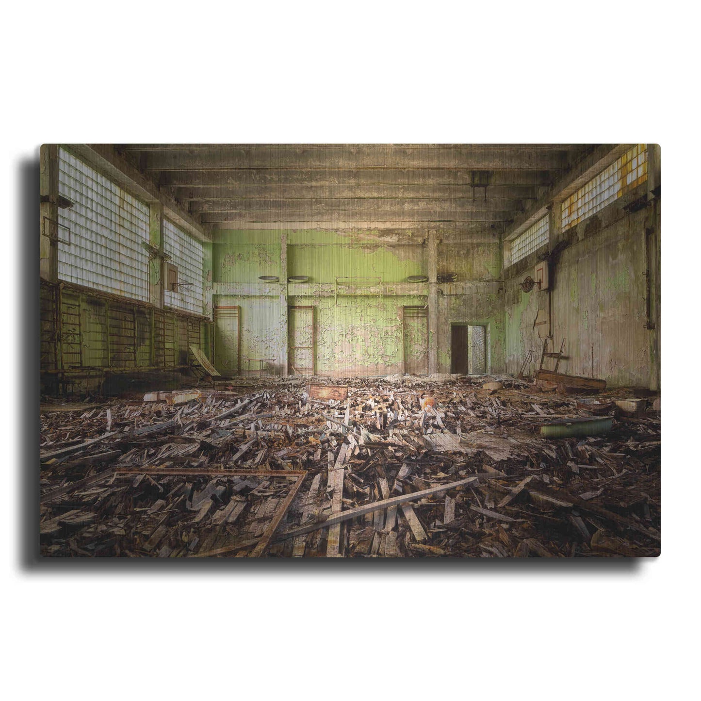 Luxe Metal Art 'Radiation Gym' by Roman Robroek Metal Wall Art