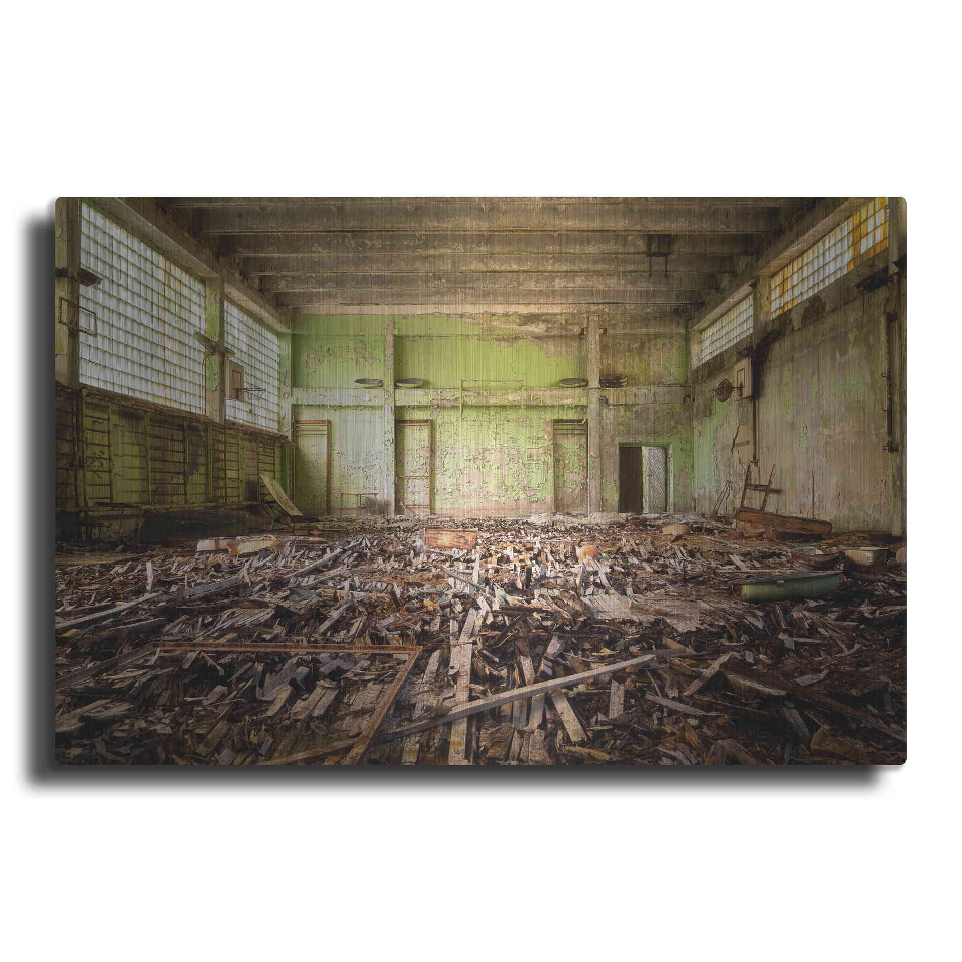 Luxe Metal Art 'Radiation Gym' by Roman Robroek Metal Wall Art