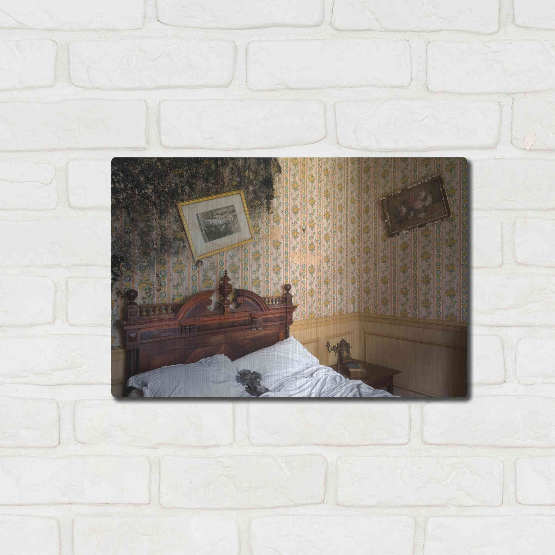 Luxe Metal Art 'Mold Bedroom' by Roman Robroek Metal Wall Art,16x12