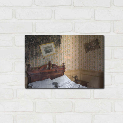 Luxe Metal Art 'Mold Bedroom' by Roman Robroek Metal Wall Art,16x12