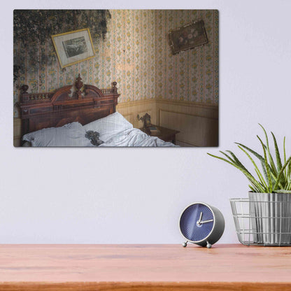 Luxe Metal Art 'Mold Bedroom' by Roman Robroek Metal Wall Art,16x12