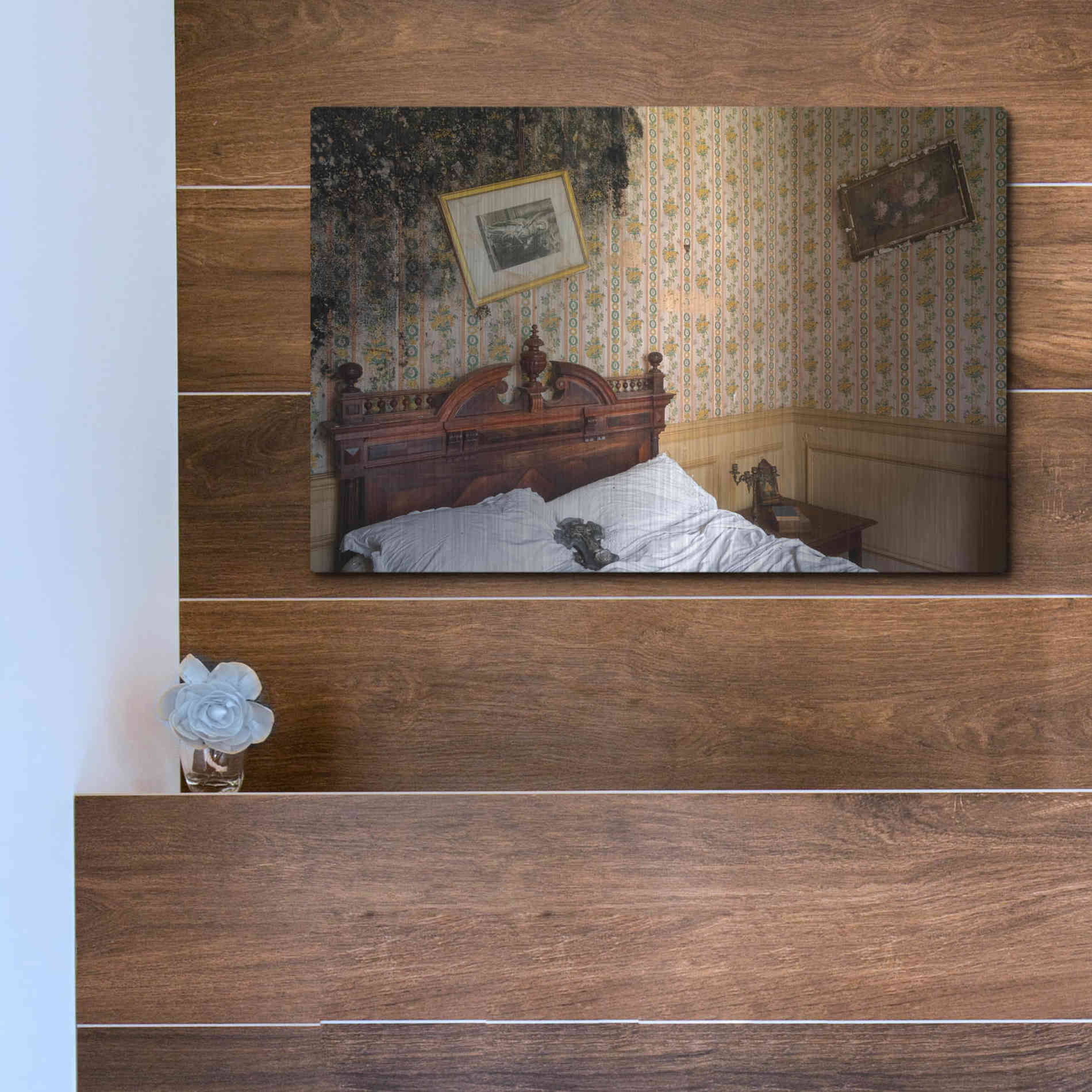Luxe Metal Art 'Mold Bedroom' by Roman Robroek Metal Wall Art,16x12