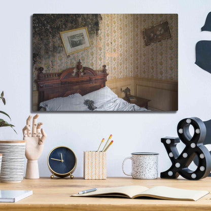 Luxe Metal Art 'Mold Bedroom' by Roman Robroek Metal Wall Art,16x12