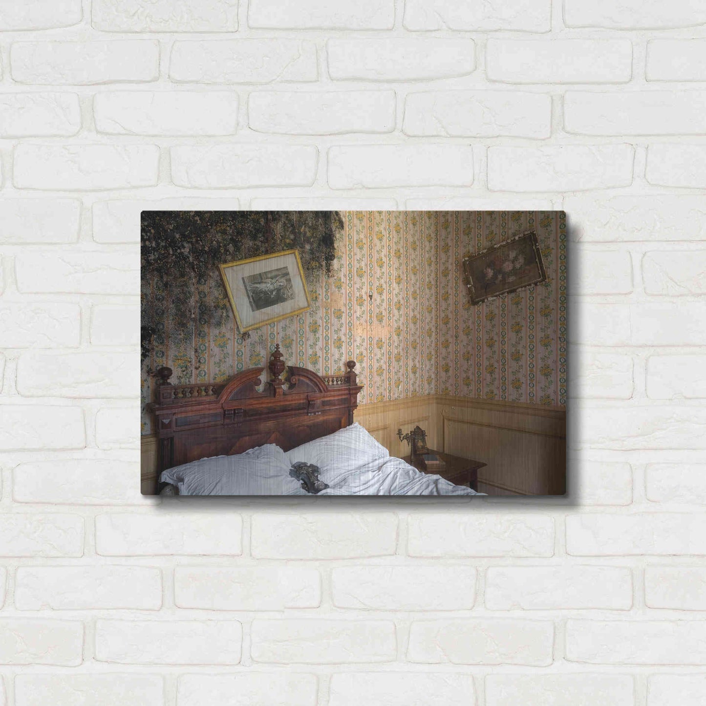 Luxe Metal Art 'Mold Bedroom' by Roman Robroek Metal Wall Art,24x16