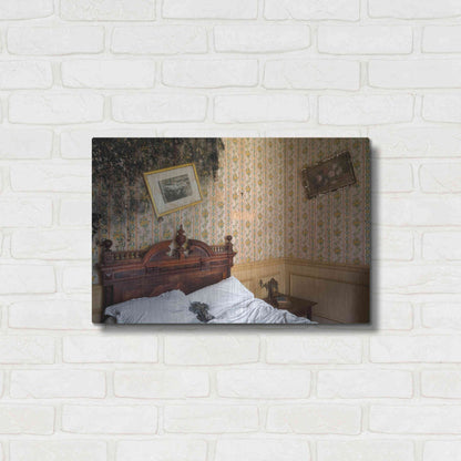 Luxe Metal Art 'Mold Bedroom' by Roman Robroek Metal Wall Art,24x16