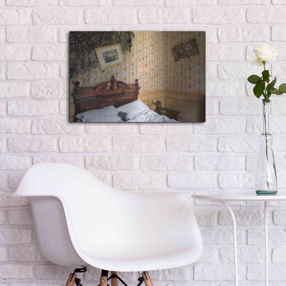 Luxe Metal Art 'Mold Bedroom' by Roman Robroek Metal Wall Art,24x16