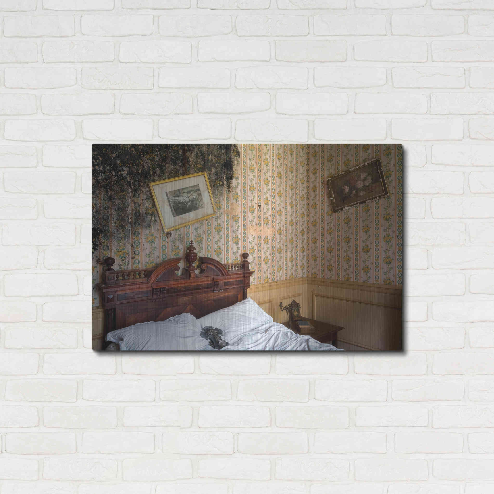 Luxe Metal Art 'Mold Bedroom' by Roman Robroek Metal Wall Art,36x24