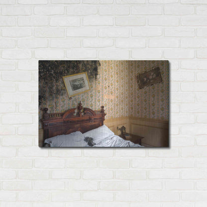 Luxe Metal Art 'Mold Bedroom' by Roman Robroek Metal Wall Art,36x24