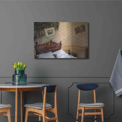 Luxe Metal Art 'Mold Bedroom' by Roman Robroek Metal Wall Art,36x24