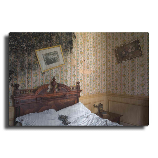 Luxe Metal Art 'Mold Bedroom' by Roman Robroek Metal Wall Art