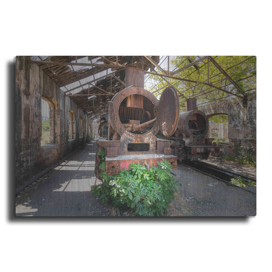 Luxe Metal Art 'Abandoned Trail' by Roman Robroek Metal Wall Art