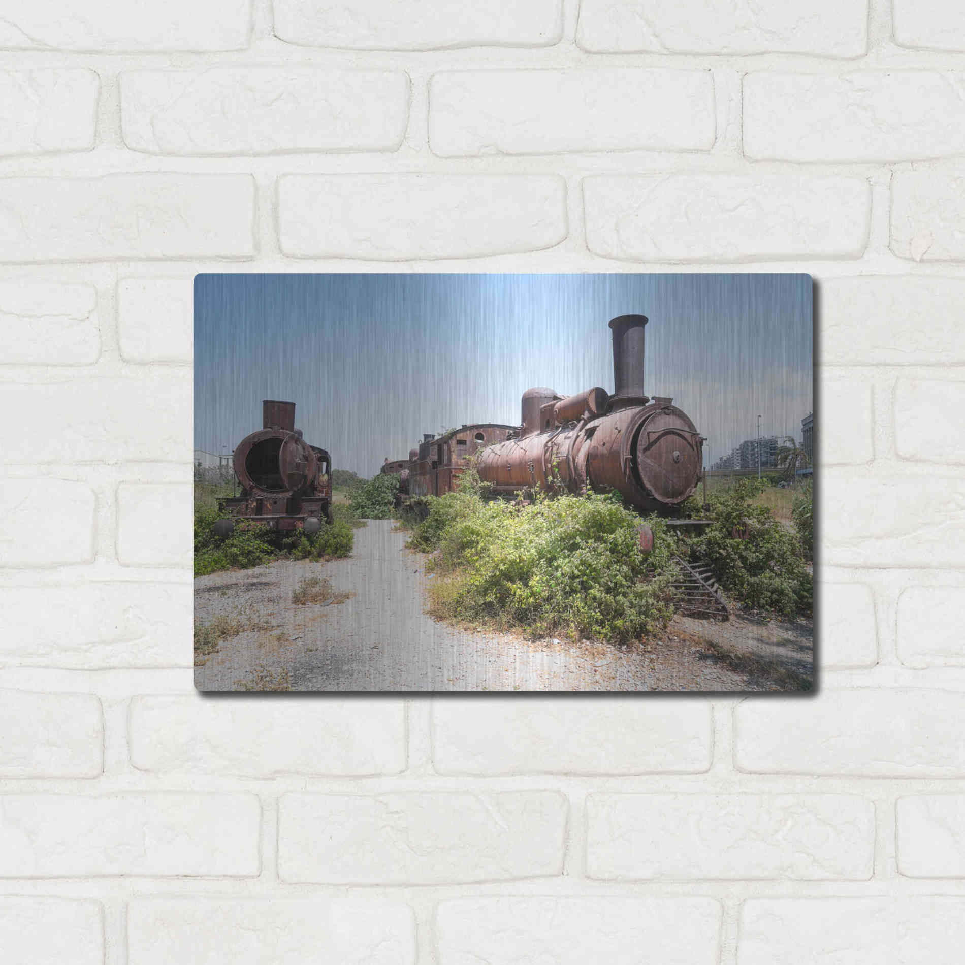 Luxe Metal Art 'Train Heritage' by Roman Robroek Metal Wall Art,16x12