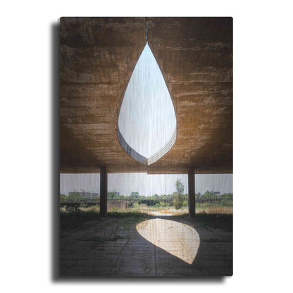 Luxe Metal Art 'The Eye' by Roman Robroek Metal Wall Art