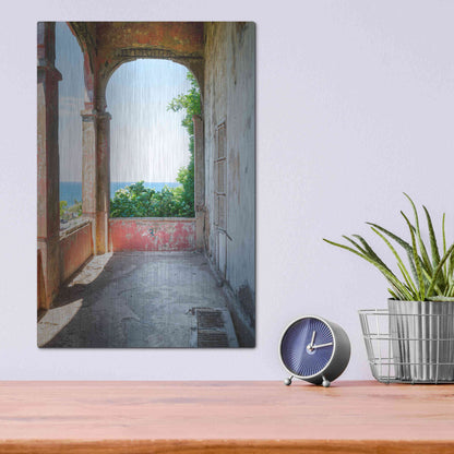 Luxe Metal Art 'Rose Balcony' by Roman Robroek Metal Wall Art,12x16