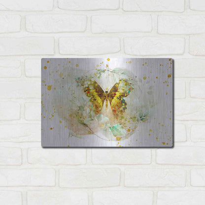 Luxe Metal Art 'Beyond The Cocoon by Roozbeh Bahramali Metal Wall Art,16x12