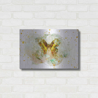 Luxe Metal Art 'Beyond The Cocoon by Roozbeh Bahramali Metal Wall Art,24x16