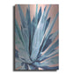 Luxe Metal Art 'Agave With Coral by Alana Clumeck Metal Wall Art