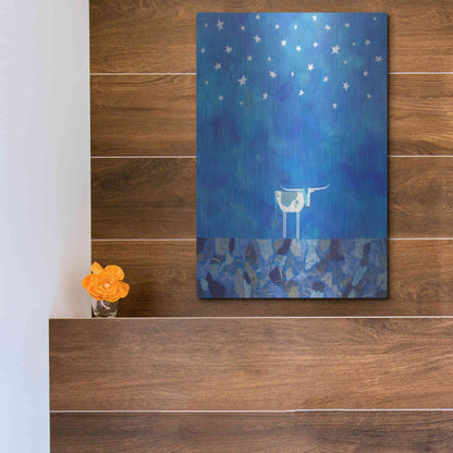 Luxe Metal Art 'Stars at Night by Casey Craig Metal Wall Art,12x16