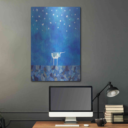 Luxe Metal Art 'Stars at Night by Casey Craig Metal Wall Art,24x36