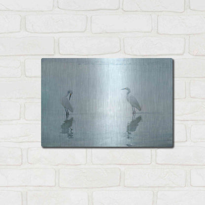 Luxe Metal Art 'White Cranes by Hannes Cmarits Metal Wall Art,16x12