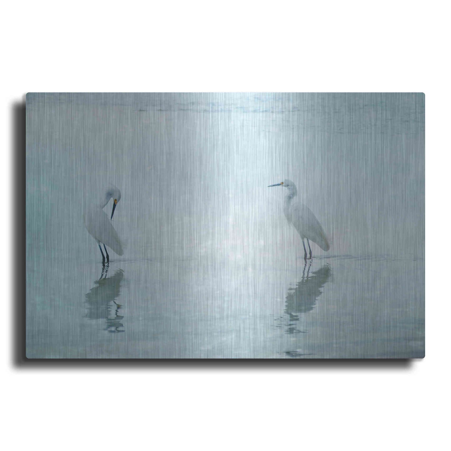 Luxe Metal Art 'White Cranes by Hannes Cmarits Metal Wall Art