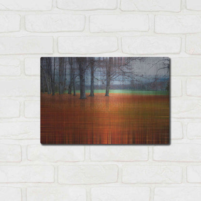 Luxe Metal Art 'Abstract Autumn by Hannes Cmarits Metal Wall Art,16x12