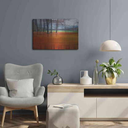 Luxe Metal Art 'Abstract Autumn by Hannes Cmarits Metal Wall Art,24x16