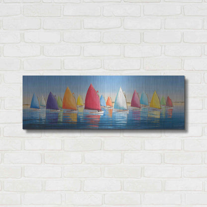 Luxe Metal Art  'Flying Colors'  by Sally Caldwell Fisher, Metal Wall Art,36x12