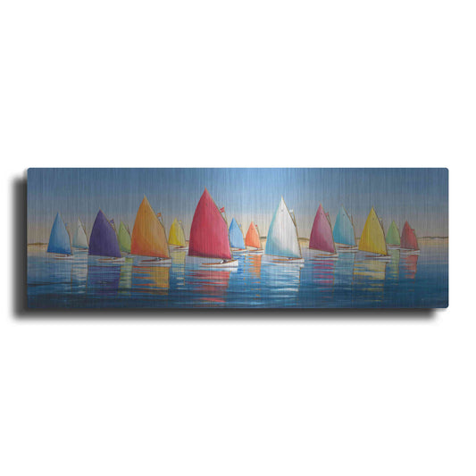 Luxe Metal Art  'Flying Colors'  by Sally Caldwell Fisher, Metal Wall Art