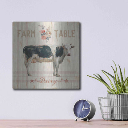 Luxe Metal Art 'Farm Patchwork V' by Danhui Nai, Metal Wall Art,12x12