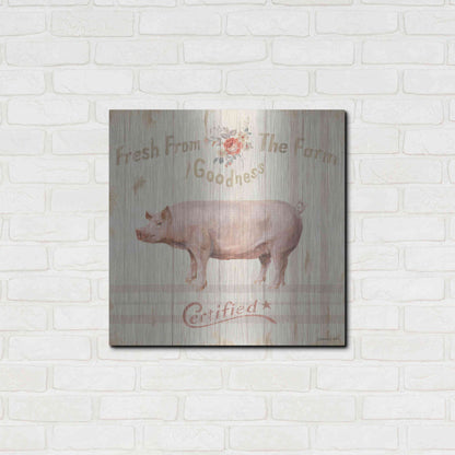 Luxe Metal Art 'Farm Patchwork VI' by Danhui Nai, Metal Wall Art,24x24