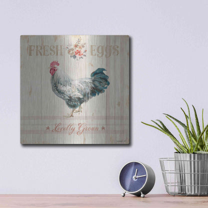 Luxe Metal Art 'Farm Patchwork VIII' by Danhui Nai, Metal Wall Art,12x12