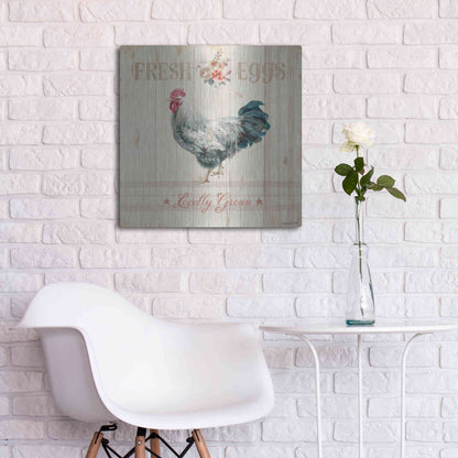 Luxe Metal Art 'Farm Patchwork VIII' by Danhui Nai, Metal Wall Art,24x24