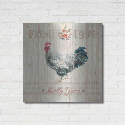 Luxe Metal Art 'Farm Patchwork VIII' by Danhui Nai, Metal Wall Art,36x36