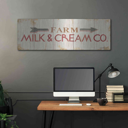 Luxe Metal Art 'Farm Patchwork XIII' by Danhui Nai, Metal Wall Art,48x16