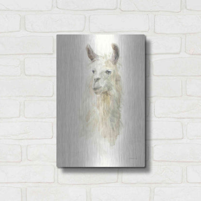 Luxe Metal Art 'Classic Llamas II' by Danhui Nai, Metal Wall Art,12x16