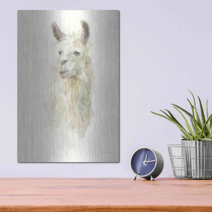 Luxe Metal Art 'Classic Llamas II' by Danhui Nai, Metal Wall Art,12x16