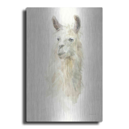 Luxe Metal Art 'Classic Llamas II' by Danhui Nai, Metal Wall Art
