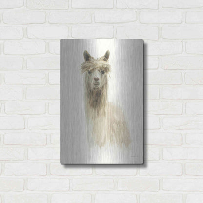 Luxe Metal Art 'Classic Llamas I' by Danhui Nai, Metal Wall Art,16x24