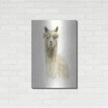 Luxe Metal Art 'Classic Llamas I' by Danhui Nai, Metal Wall Art,24x36