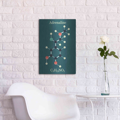 Luxe Metal Art 'Adrenaline Molecule I' by Epic Portfolio, Metal Wall Art,16x24