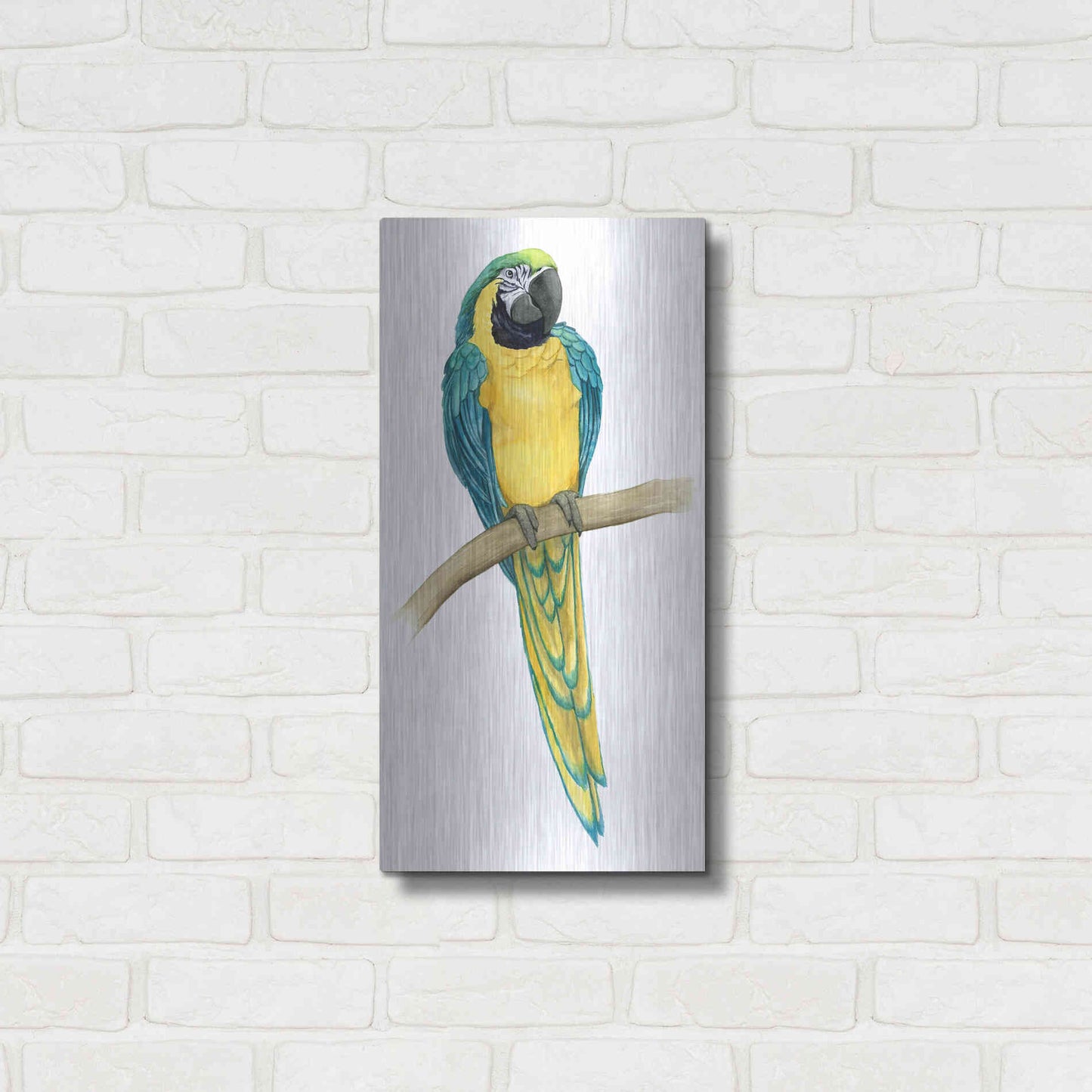 Luxe Metal Art 'Teal Macaw II' by Grace Popp, Metal Wall Art,12x24