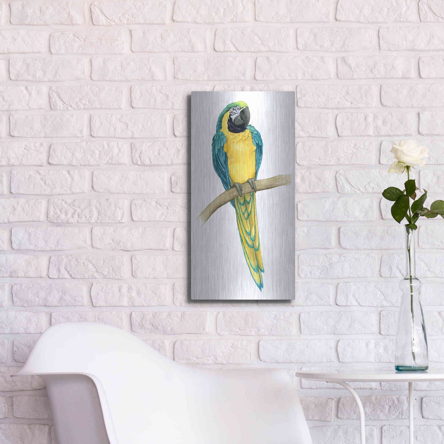 Luxe Metal Art 'Teal Macaw II' by Grace Popp, Metal Wall Art,12x24