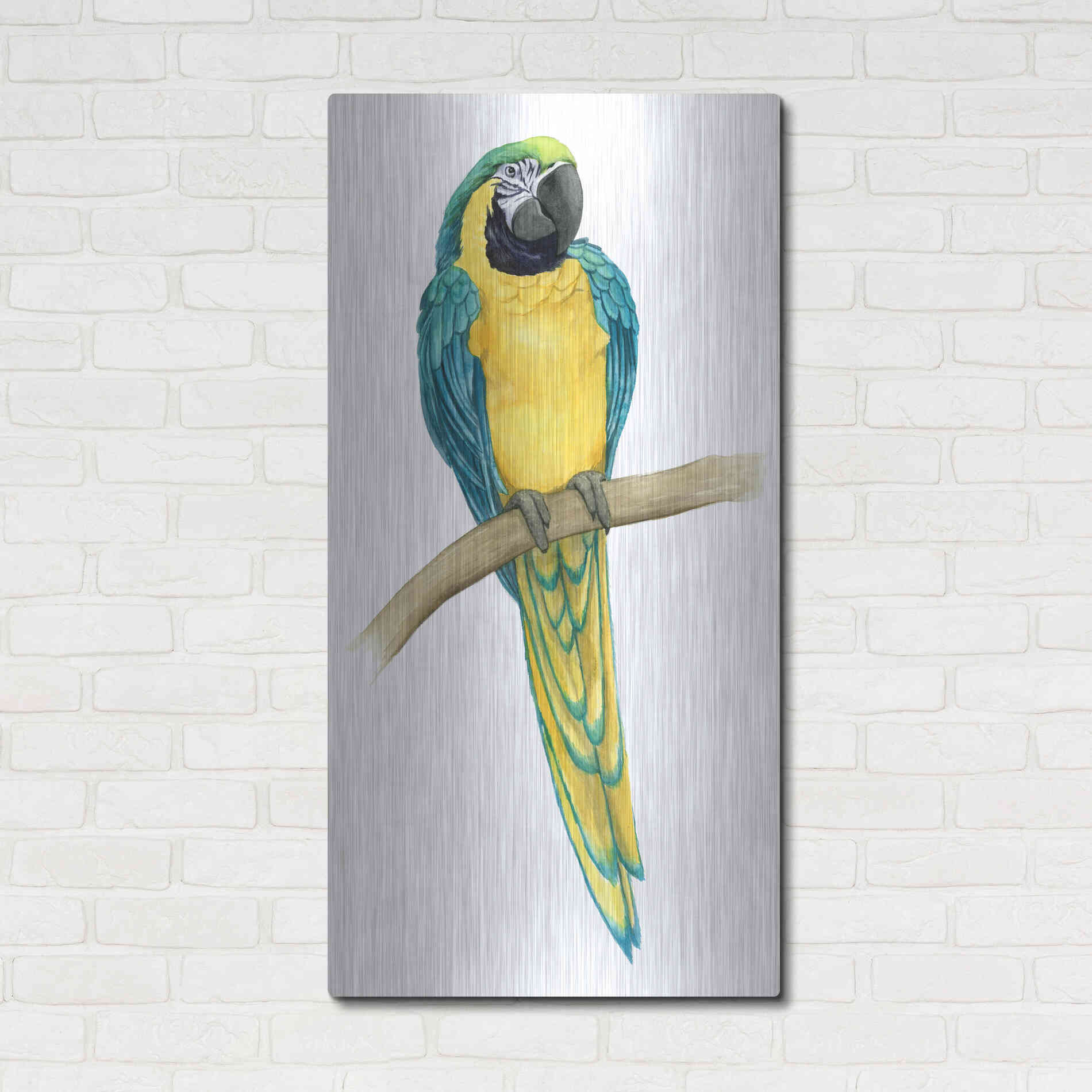 Luxe Metal Art 'Teal Macaw II' by Grace Popp, Metal Wall Art,24x48