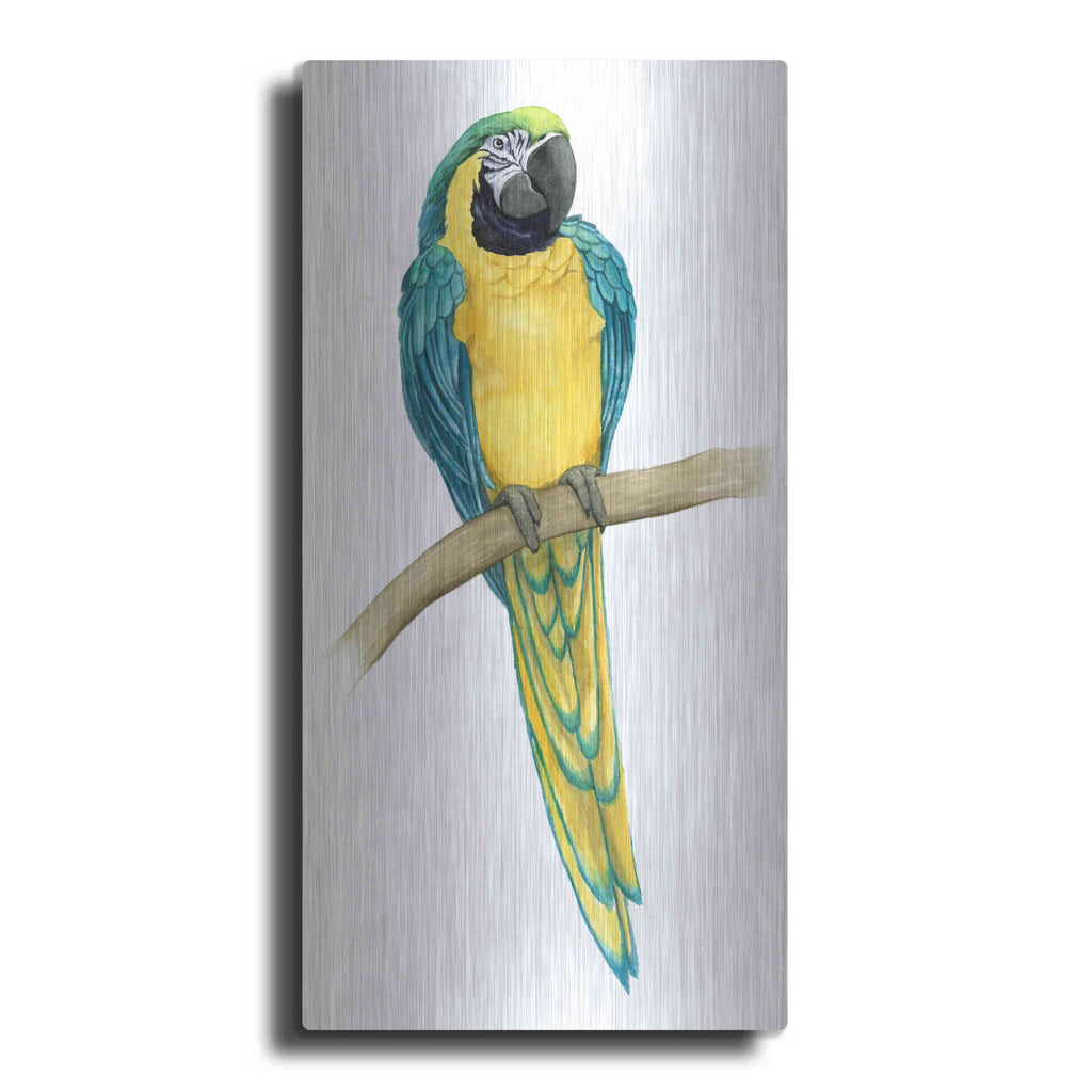 Luxe Metal Art 'Teal Macaw II' by Grace Popp, Metal Wall Art
