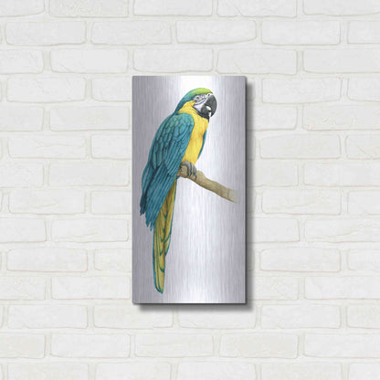 Luxe Metal Art 'Teal Macaw I' by Grace Popp, Metal Wall Art,12x24